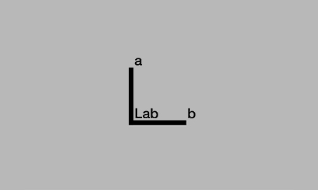 a Lab b